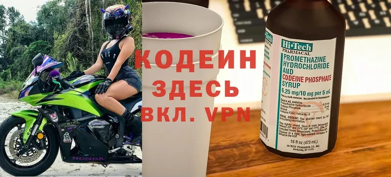 купить наркотик  Курган  Кодеиновый сироп Lean Purple Drank 