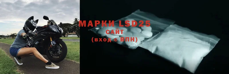 купить наркотик  Курган  Лсд 25 экстази ecstasy 